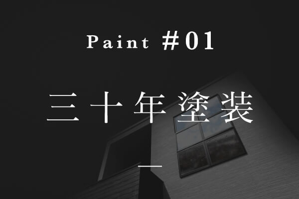 三十年塗装